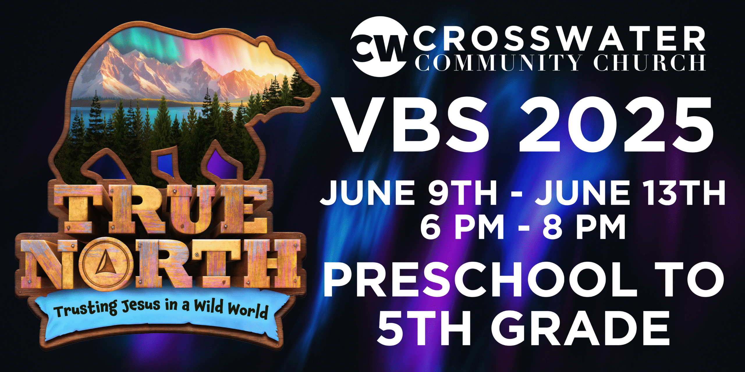 VBS 2025 (Website)
